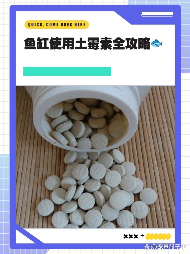 龍魚下土霉素藥三天