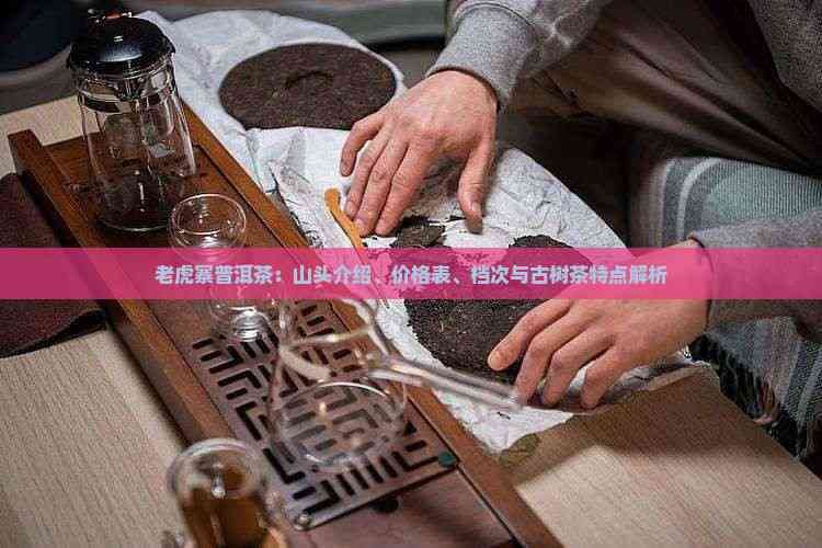 帝王老虎魟魚什么價位