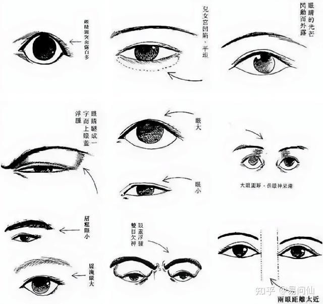 龍眼紅眼是吉兆還是兇兆