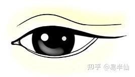 龍眼紅眼是吉兆還是兇兆