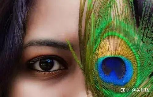 龍眼紅眼是吉兆還是兇兆
