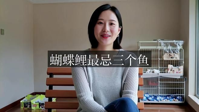 蝴蝶魚能和什么魚混養