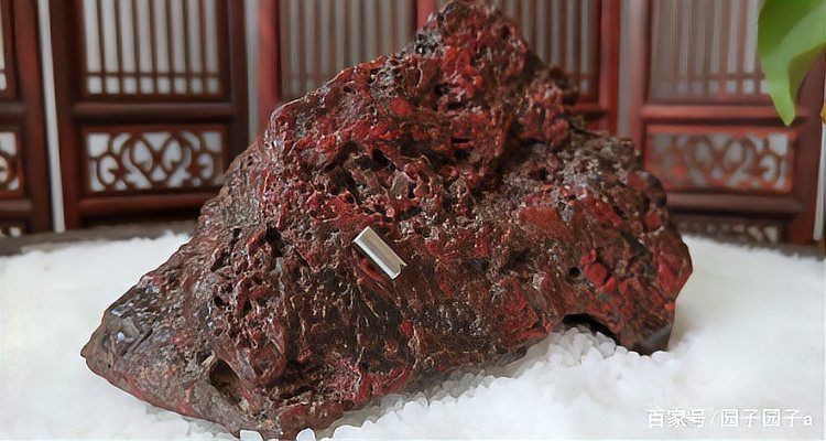 沙龍魚在游戲中的技能有哪些，《怪物獵人》之沙龍魚
