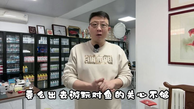 泗水龍魚直播官網入口