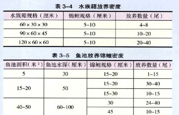 1米2缸最大能養多大錦鯉