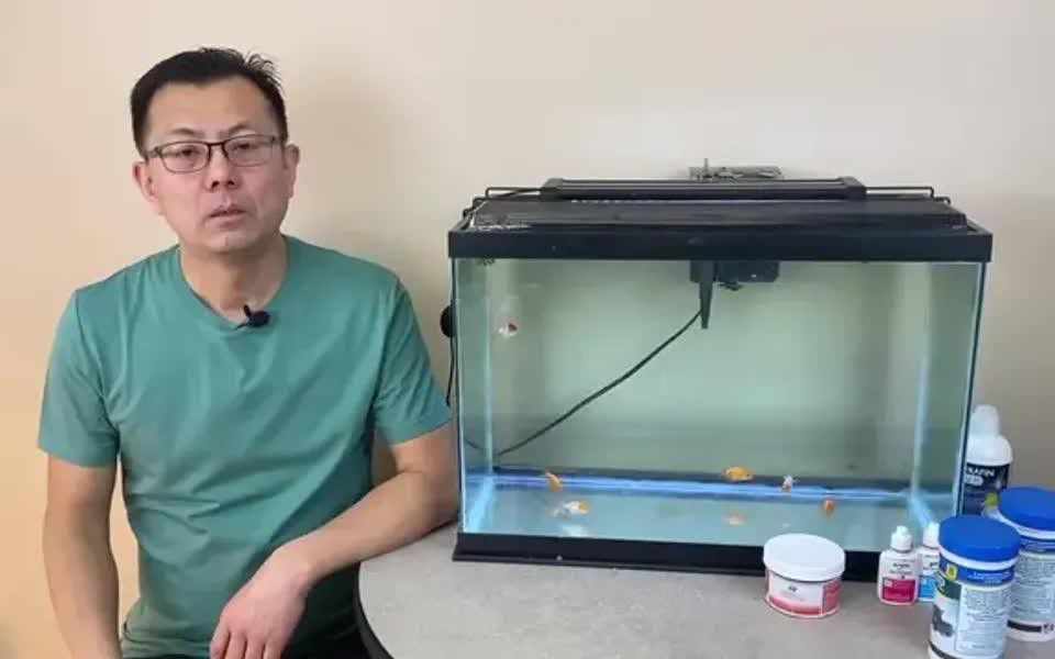 有哪些混養(yǎng)案例失敗的原因