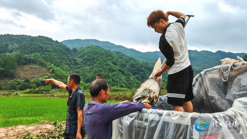 附近魚苗批發