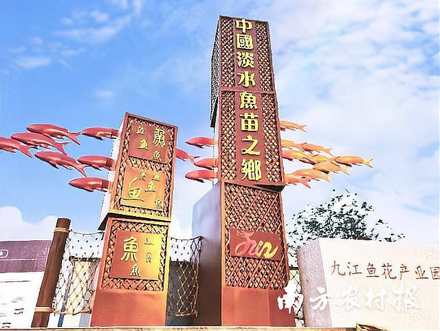 附近魚苗批發