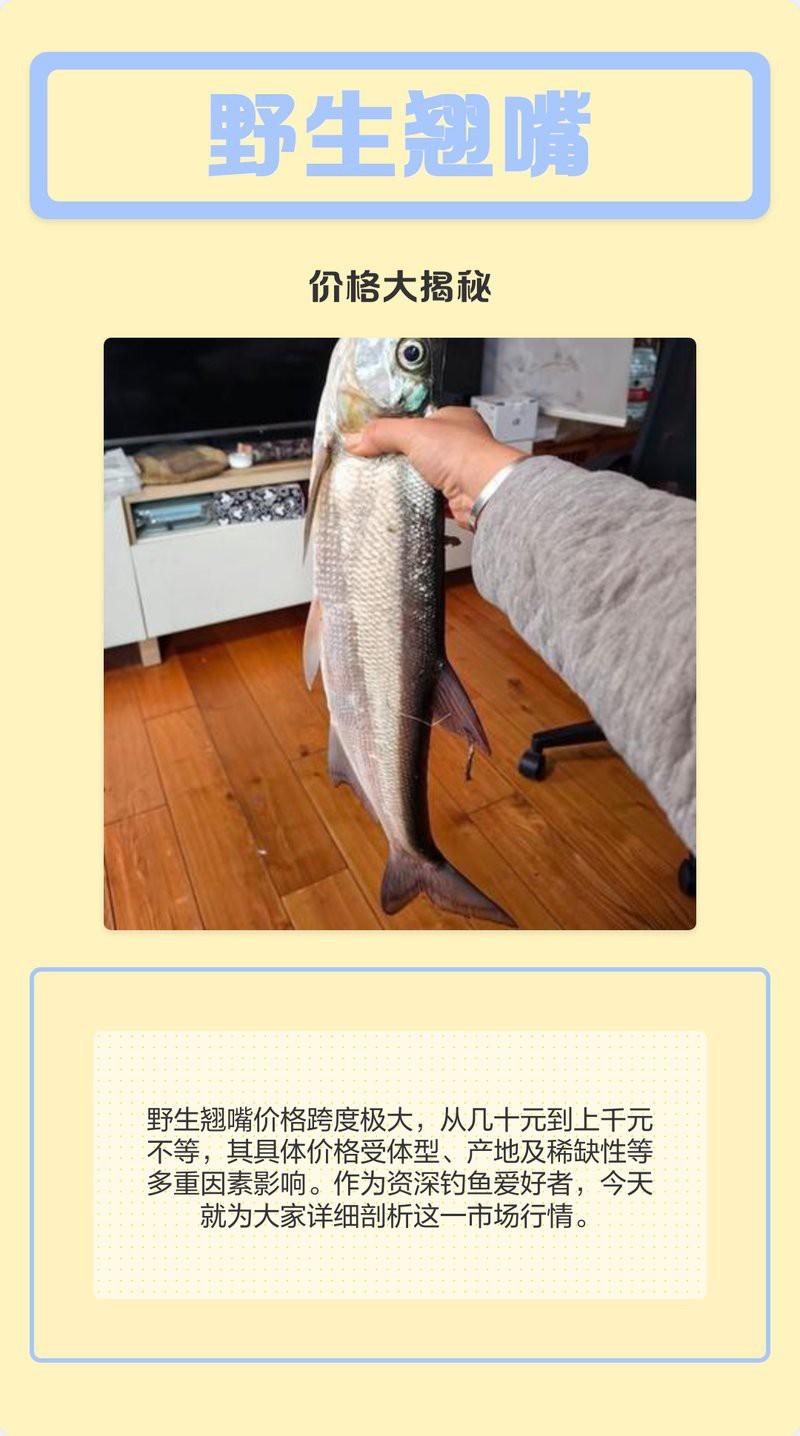 詳細(xì)閱讀:翹嘴魚(yú)多少錢(qián)一斤 翹嘴魚(yú)多少錢(qián)一斤