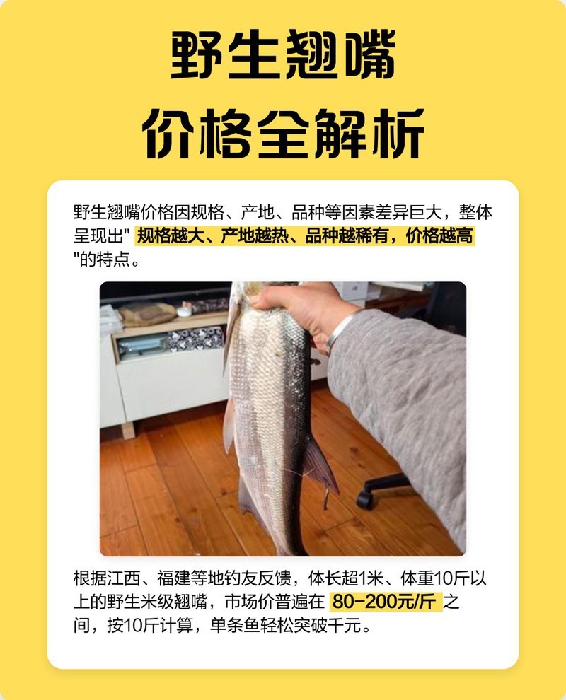 詳細(xì)閱讀:翹嘴魚(yú)多少錢(qián)一斤 翹嘴魚(yú)多少錢(qián)一斤