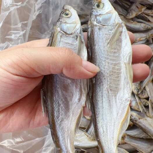 詳細(xì)閱讀:翹嘴魚(yú)多少錢(qián)一斤 翹嘴魚(yú)多少錢(qián)一斤