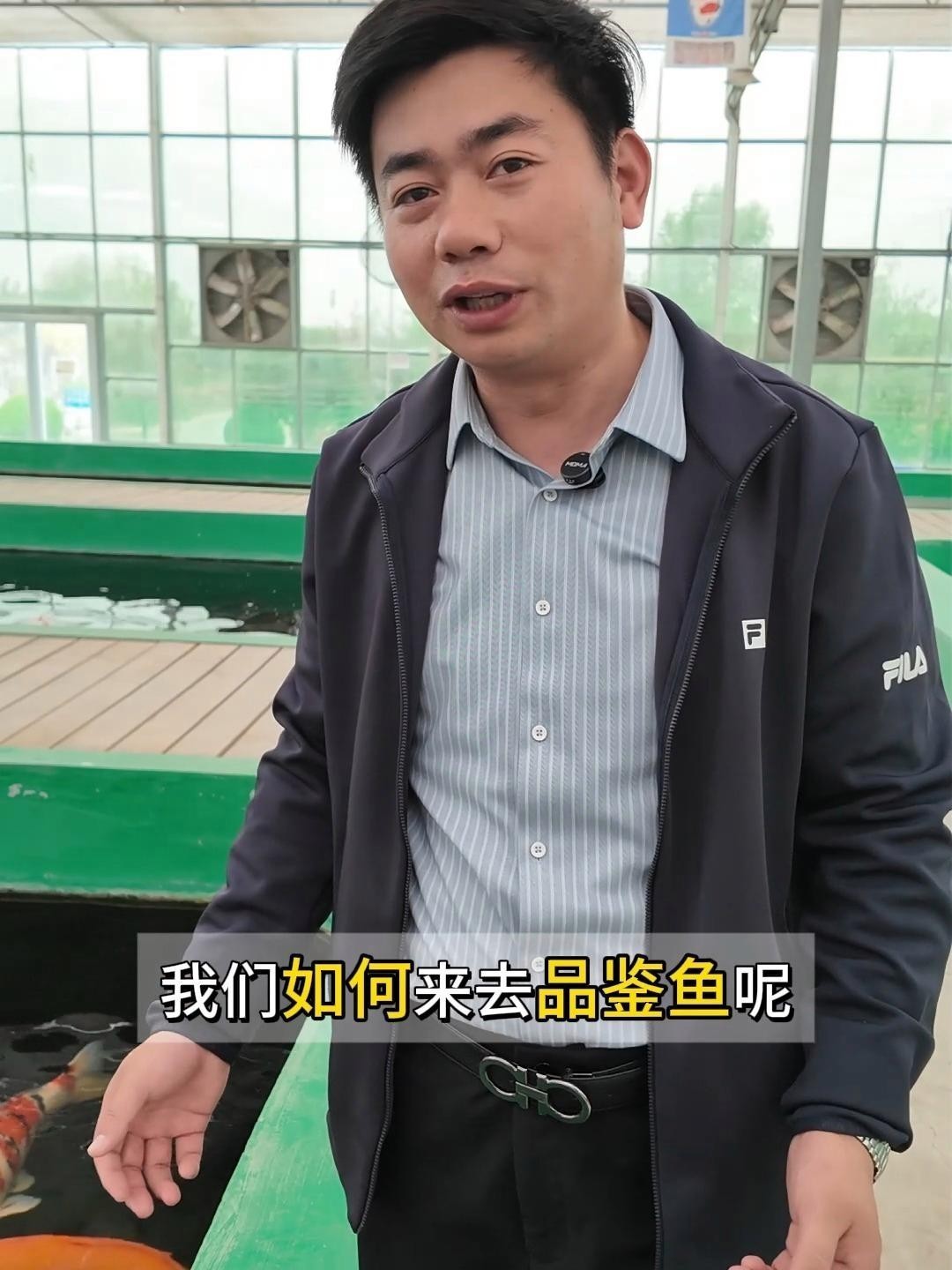 錦鯉和龍魚哪個(gè)更受歡迎？