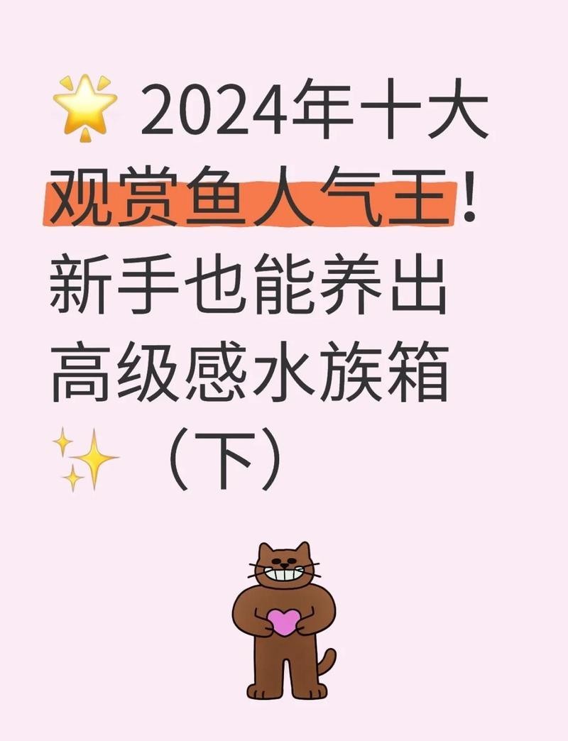 錦鯉和龍魚哪個(gè)更受歡迎？