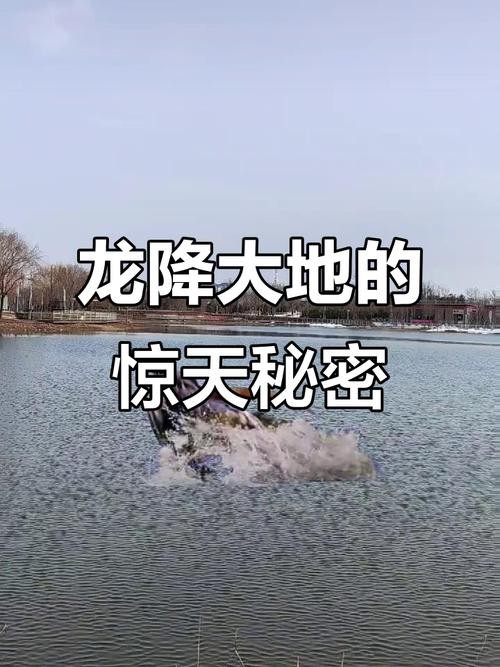 能否提供更多關于真龍大地的圖片？