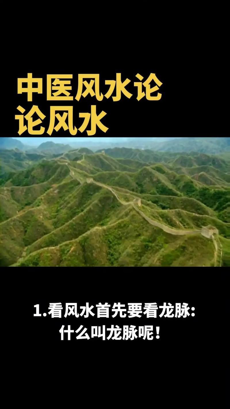 黃金龍魚魚餌（黃金龍魚餌的成分是什么？）