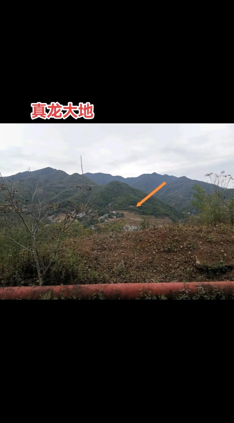 能否提供更多關于真龍大地的圖片？