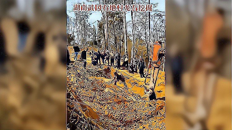 能否提供更多關于真龍大地的圖片？