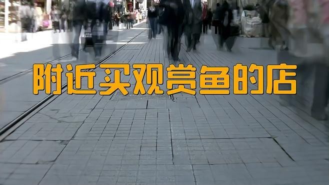 給我推薦幾家專業的水族商家