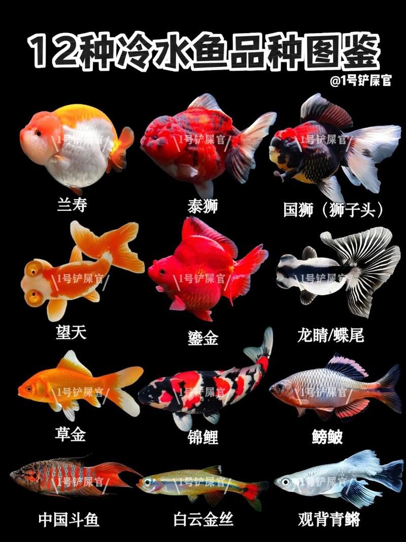 給我推薦幾家專業的水族商家