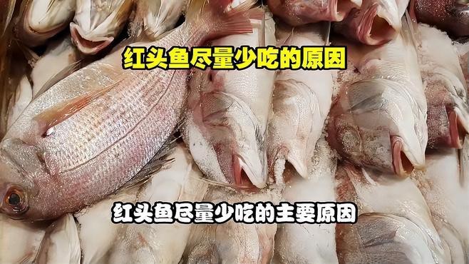 紅頭魚為何盡量少吃
