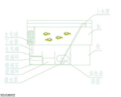 城關區雁灘花魚市場曠怡景觀水族店（雁灘花鳥魚市場營業時間）