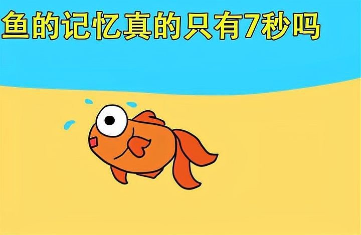 地圖魚智商多高