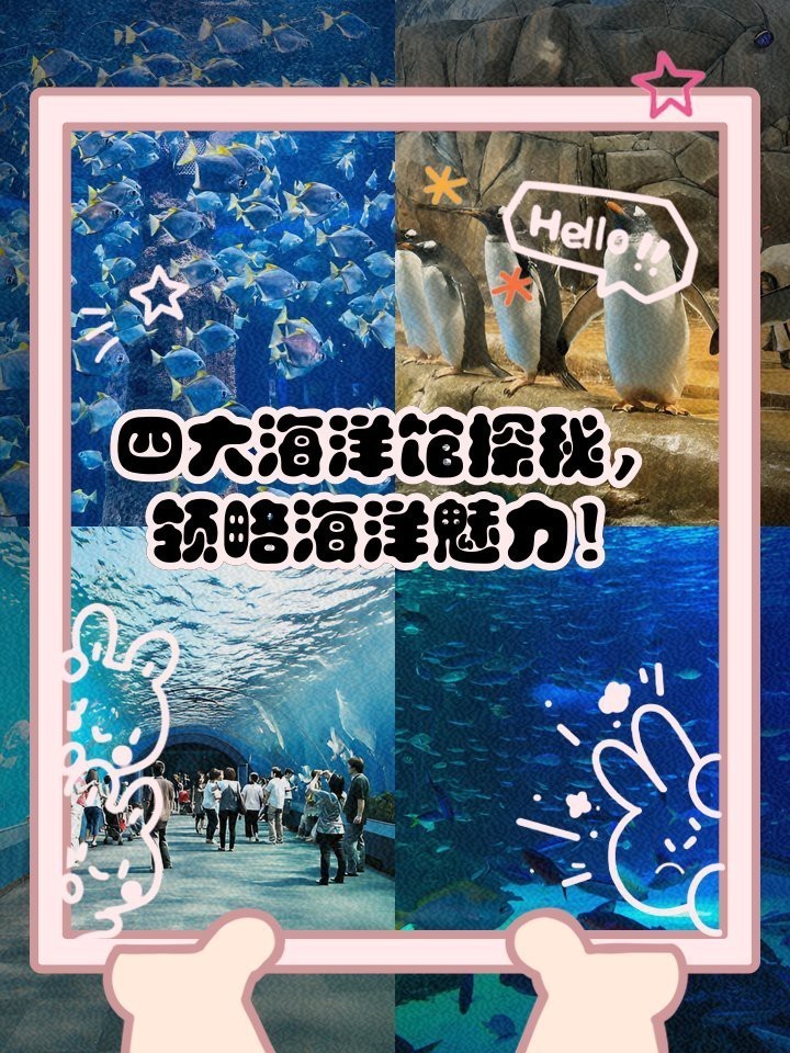 廈門海洋館和海底世界哪個好玩