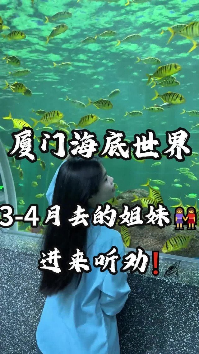 廈門海洋館和海底世界哪個好玩