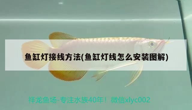 長治高新區(qū)樂活水族館（長治高新區(qū)樂活水族館電話）