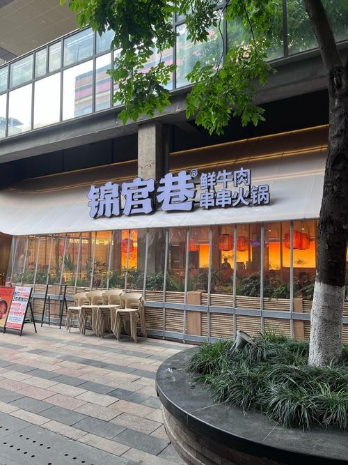 銀龍魚發色過程圖解（銀龍魚會發色嗎）