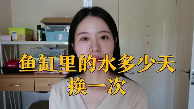 夏天魚缸幾天換一次水最好 夏天魚缸幾天換一次水最好 龍魚論壇 第5張