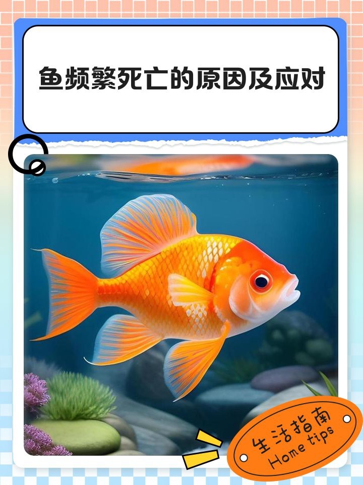 雙線魚為什么總是死掉