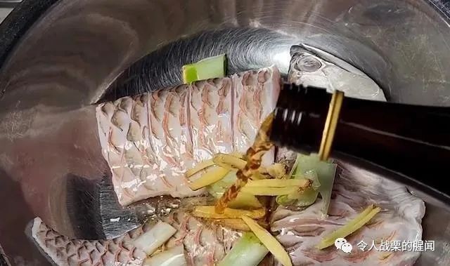 男子三年前買了一條銀龍魚，結果水泵出問題，網友：這也行，男子三年前買了一條小銀龍魚，因水泵出了問題，竟然掛了