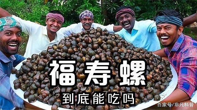 福壽螺名字的由來和寓意