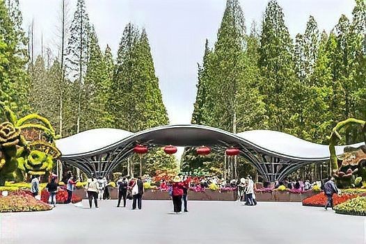 花博園為啥不讓帶狗