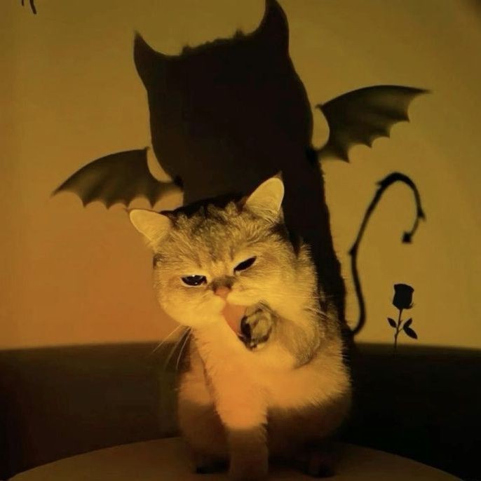 火焰龜最貴三個顏色