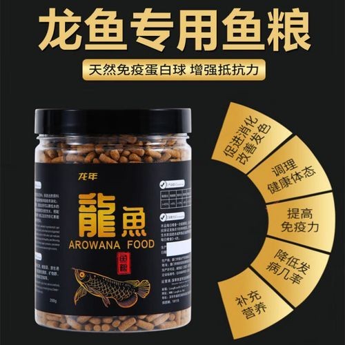 銀龍魚苗吃什么長得快