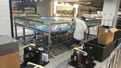 金龍魚和銀龍魚哪個更貴（金龍魚和銀龍魚哪個更貴一點）
