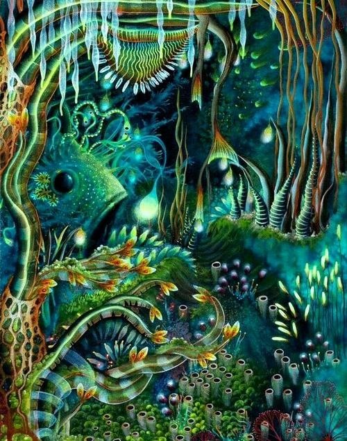龍魚背景圖片大全大圖可愛的