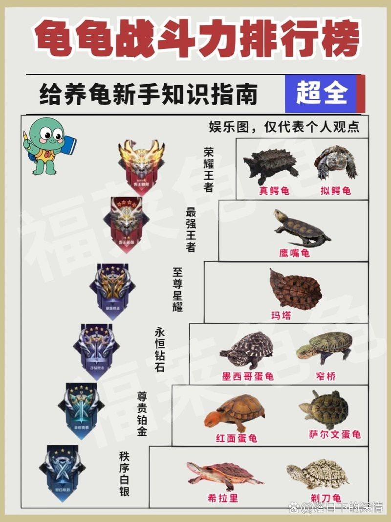 鱷龜vs霸王龜