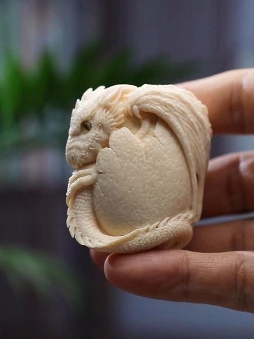 魟魚懷了龍蛋的圖片