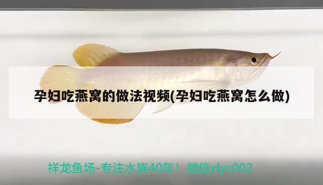 哈爾濱米熊科技有限公司（哈爾濱米熊科技有限公司怎么樣）