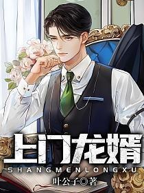 葉辰在《風水龍婿》中的修煉過程