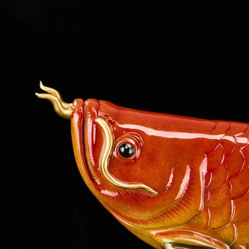 金龍魚的寓意和象征圖片大全