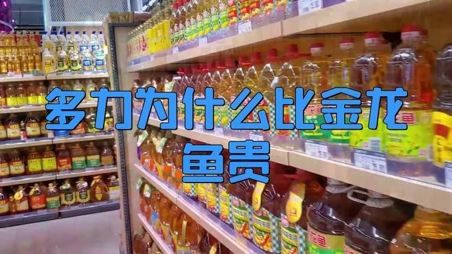 多力與金龍魚哪個更受消費者好評？