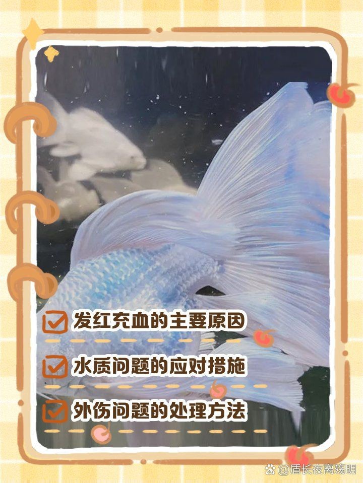 蝴蝶鯉尾巴被咬了還能不能長出來