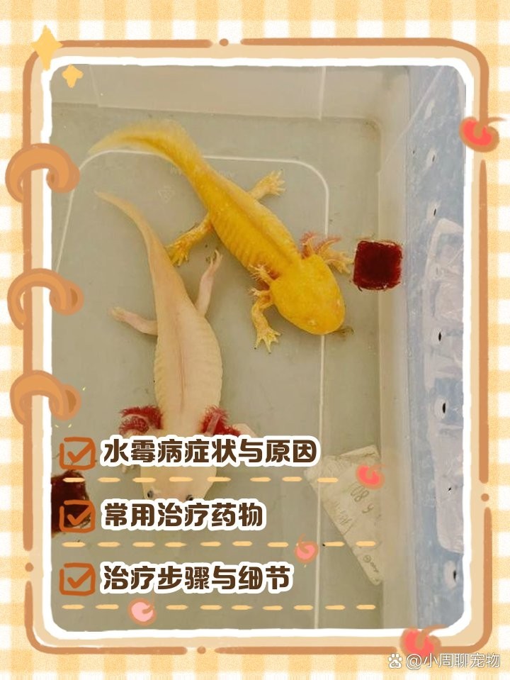 鶴崗市南山區(qū)雨霏水族館