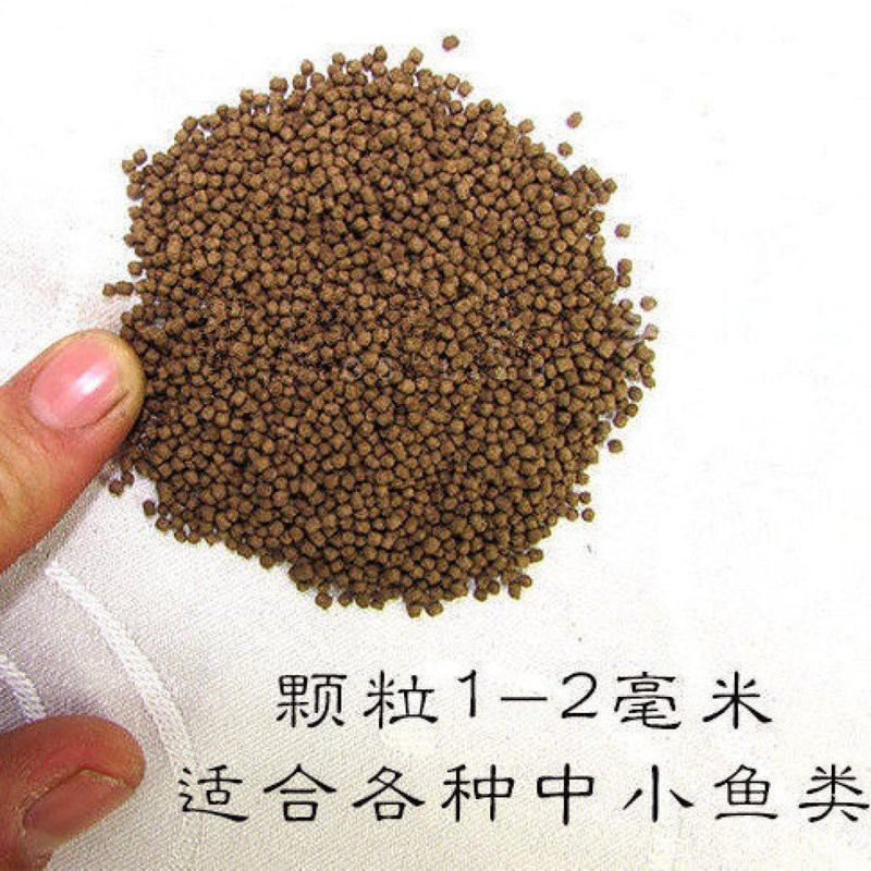 魚寶紅飼料最忌三種魚