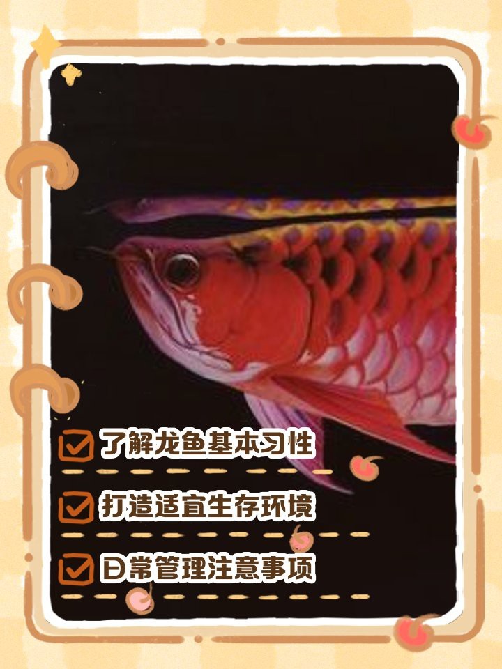翡翠龍魚不能亂養