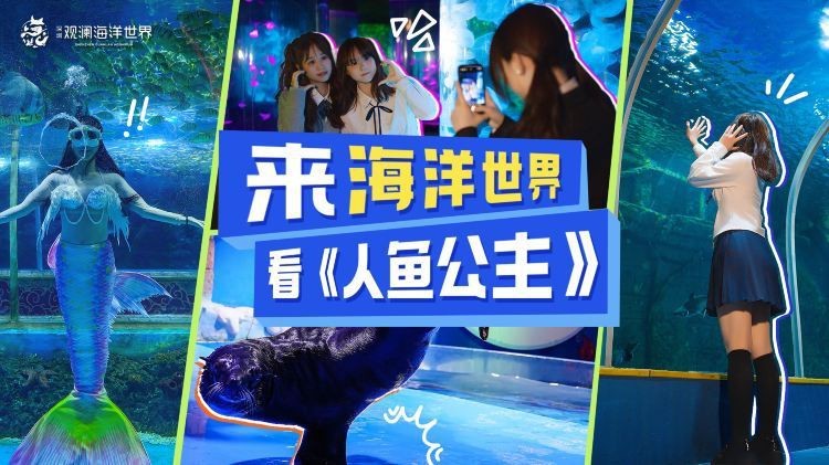 深圳大型水族批發市場